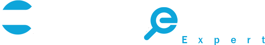 Siem Elasticsearch Expert